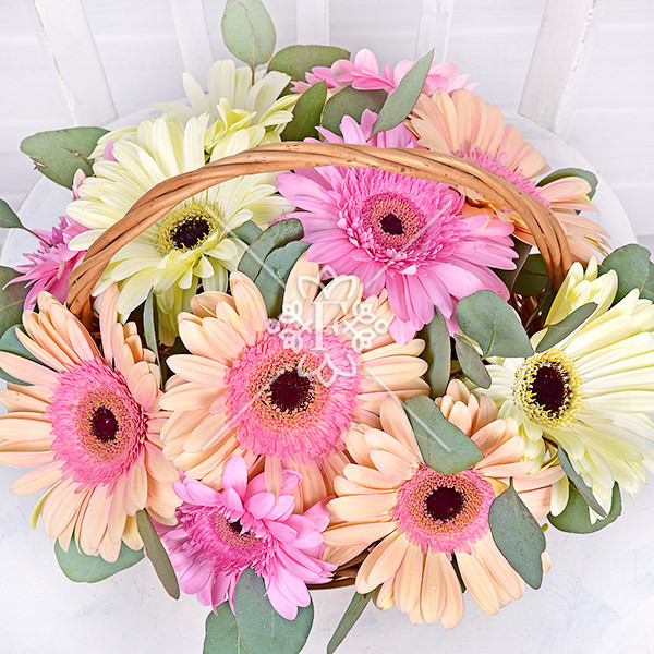 Корзинка счастья - корзина с герберами